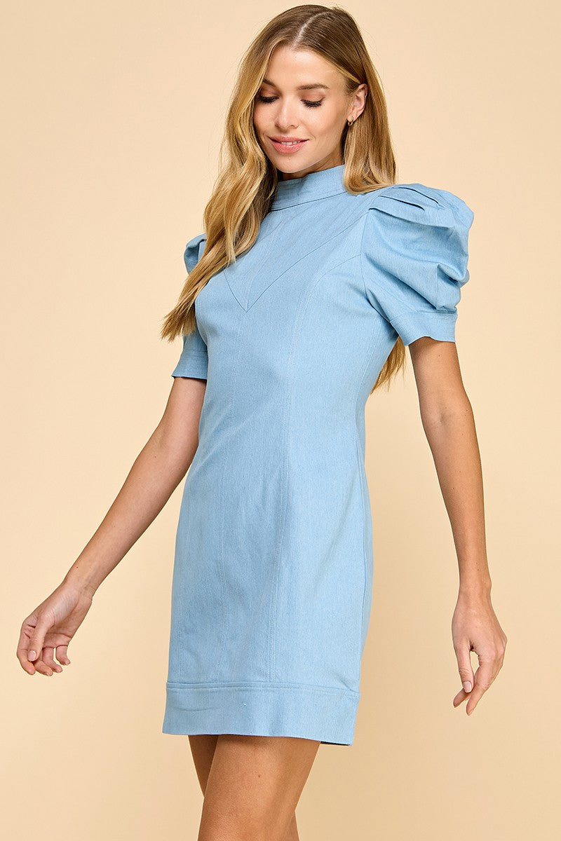 Fitted Hidden Rear Zipper Denim Dress