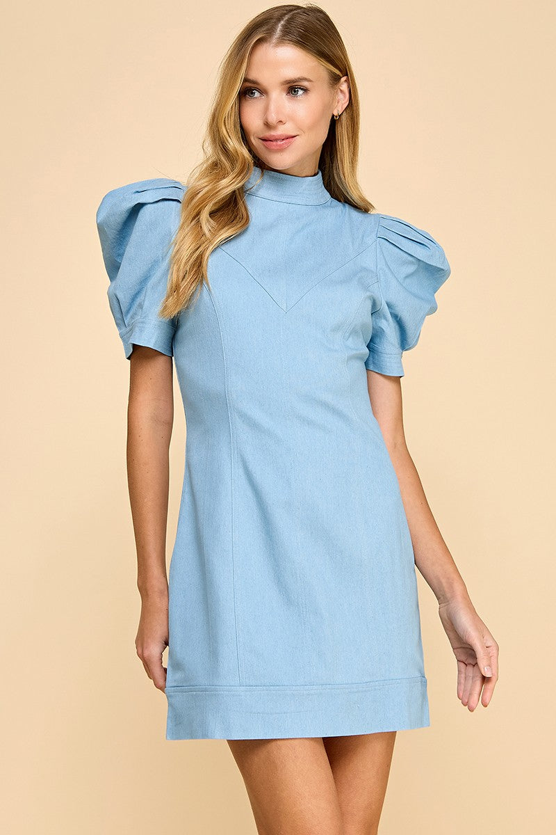 Fitted Hidden Rear Zipper Denim Dress