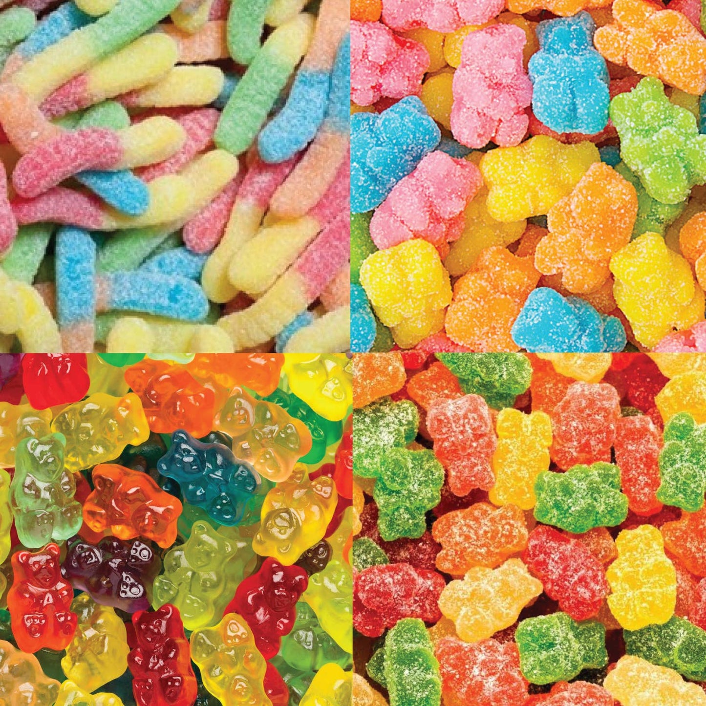 Oh, Sugar! - Valentine Candy Regular Treat Bags Asst #2