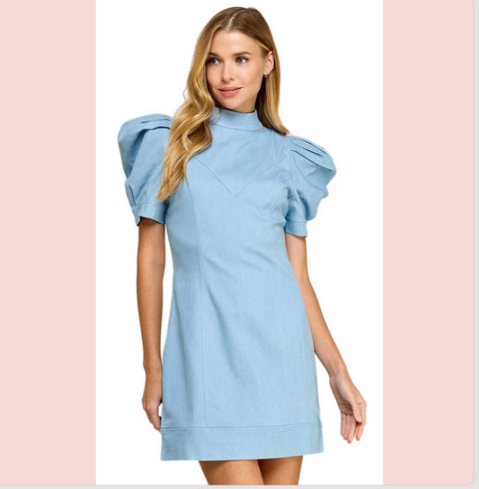 Fitted Hidden Rear Zipper Denim Dress