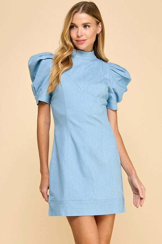 Fitted Hidden Rear Zipper Denim Dress