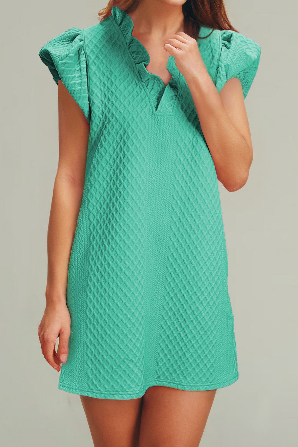 Textured Puff Sleeve Ruffled Dress