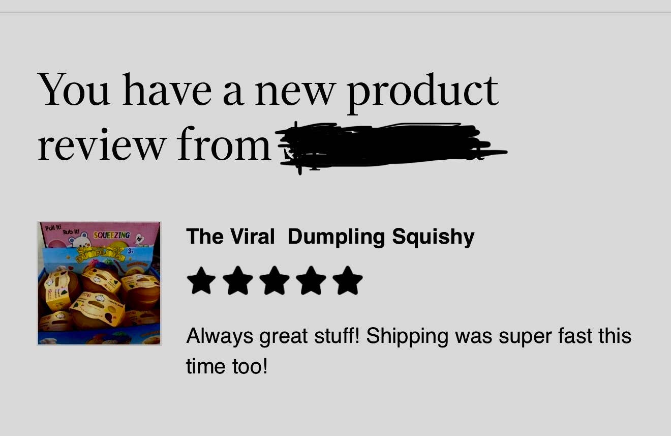 The Viral Dumpling Squishy- Glitter Edition